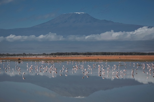 Une vue générale du mont Kilimandjaro prise le 21 juillet 2022 depuis le parc national d'Amboseli au Kenya. Photo de TANYA WILLMER/AFP via Getty Images.