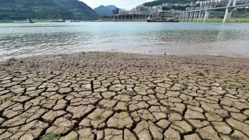 Rivière asséchée après la baisse du niveau d'eau du fleuve Yangtze dans la municipalité de Chongqing, le 16 août 2022. (STR/AFP via Getty Images)