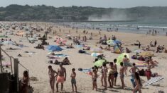 De mystérieux poissons attaquent mordent les baigneurs à Hendaye sur la Côte Basque