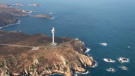 40 ans après la disparition des fermes, un couple d’éleveurs et son troupeau de vaches s’installent sur l’île d’Ouessant