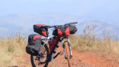 Des  jumeaux de 13 ans parcourent 845 km à vélo pour aller passer des vacances chez leurs grands-parents