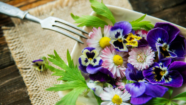 Les fleurs sont bien connues pour nourrir les abeilles, mais plusieurs sont aussi comestibles et ont des propriétés uniques, bonnes pour notre santé. (Malykalexa/Shutterstock)