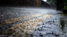 Orages, grêle, torrents d’eau : les images impressionnantes des intempéries dans la Loire