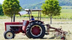 Haute Garonne: un enfant de 3 ans meurt écrasé par son père dans un accident de tracteur