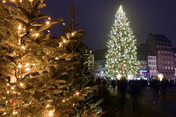 Le traditionnel sapin géant de Strasbourg en 2020. (FREDERICK FLORIN/AFP via Getty Images)