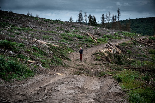 Image d'illustration (JEAN-PHILIPPE KSIAZEK/AFP via Getty Images)