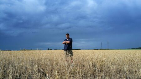 Moutarde de Dijon: la relocalisation comme remède à la pénurie