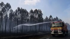 Incendies en France: près de 50 incendiaires interpellés depuis le mois de juillet