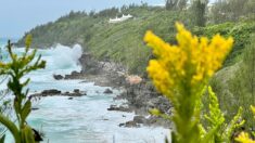 Fortes pluies et vents violents sur les Bermudes, longées par l’ouragan Fiona