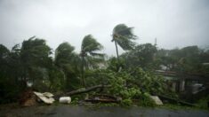 Un mort en Guadeloupe dans des inondations