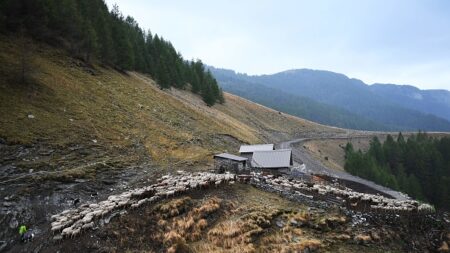 France: dans le massif du Vercors, on hurle avec les loups pour les débusquer