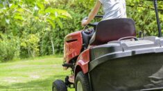 Une course de tracteurs tondeuses organisée par une commerçante met de la vie dans un village de 800 habitants