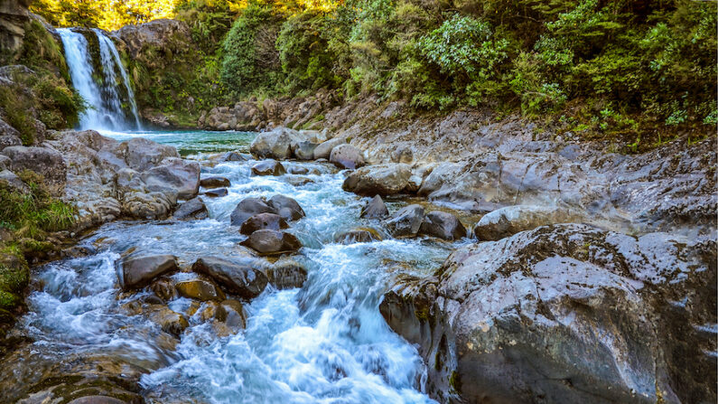 L'eau a inspiré d'innombrables anciennes civilisations et continue de servir de représentation symbolique importante de la vie. (VarnaK/Shutterstock)