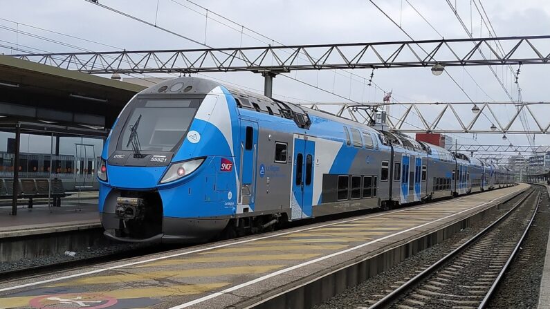 TER Auvergne-Rhône-Alpes en gare de Lyon-Part-Dieu. Photo de Kevin.B — Travail personnel, CC BY-SA 4.0, https://commons.wikimedia.org/w/index.php?curid=81051873