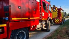 Piégée dans la vase, une jument est secourue par les pompiers dans le Calvados