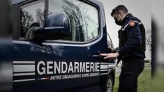 Seine-Maritime : un adolescent disparu retrouvé mort dans une forêt