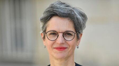 Manifestation anti-bassines dans les Deux-Sèvres: Sandrine Rousseau défend une « désobéissance sans violence »