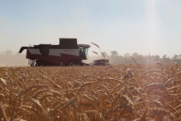 Des agriculteurs récoltent du blé dans la région de Rostov, dans le sud de la Russie, le 7 juillet 2022. (Photo : STRINGER/AFP via Getty Images)