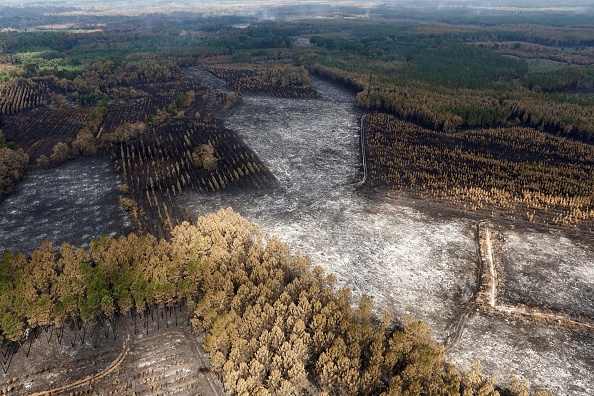 Landiras en Gironde, le 23 juillet 2022.   (BENOIT TESSIER/POOL/AFP via Getty Images)