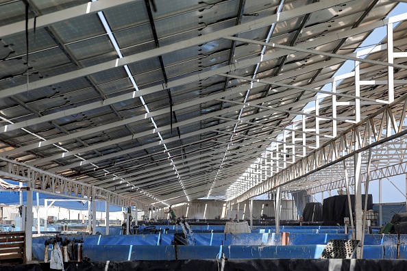 Vue d'une ferme solaire alimentant le restaurant de fruits de mer "The Sailor", et fournir de l'oxygène aux bassins de poissons en dessous, à Gaza dans l'enclave palestinienne le 7 septembre 2022. Photo de MOHAMMED ABED/AFP via Getty Images.