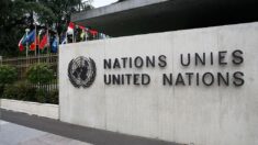 Les Nations Unies annoncent une récession mondiale imminente provoquée par un resserrement monétaire «excessif»