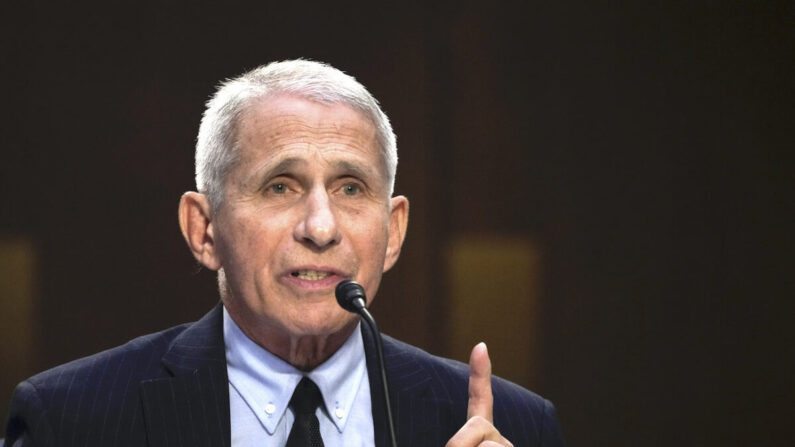 Anthony Fauci, directeur de l’Institut national des allergies et des maladies infectieuses, au Capitole à Washington, le 14 septembre 2022. (Drew Angerer/Getty Images)