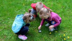 Avec la classe en plein air, l’école change de regard sur les questions d’environnement