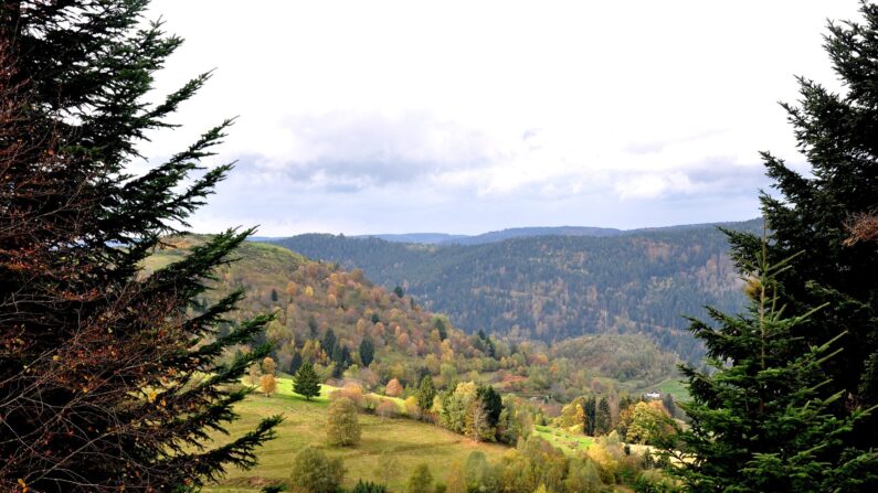 Photo d'illustration - Massif des Vosges. (Crédit: jofy88/Pixabay)