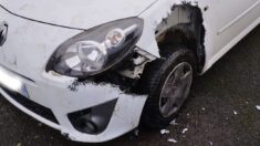 Un chien dévore la voiture d’un pompier pendant la nuit d’Halloween