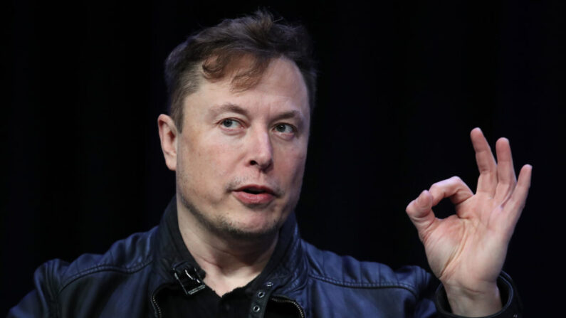 Elon Musk (Win McNamee/Getty Images)