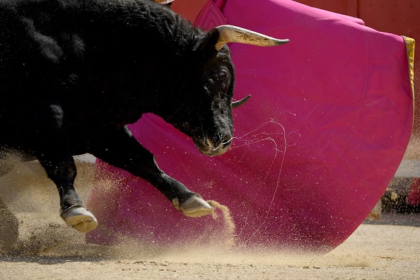 (Photo : NICOLAS TUCAT/AFP via Getty Images)