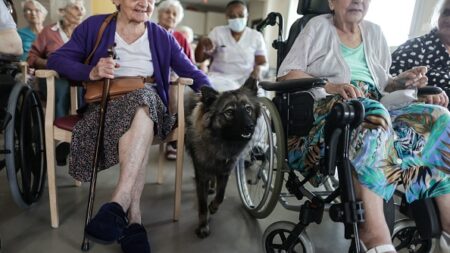 Séparés durant plus de 100 ans, deux amis d’enfance s’étaient retrouvés: ils sont décédés le même jour