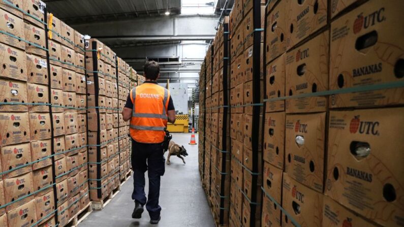 Un douanier et un chien renifleur de drogue lors d'un contrôle dans le hangar d'une entreprise fruitière au port d'Anvers, le 20 mai 2022. (Photo: VALERIA MONGELLI/AFP via Getty Images)