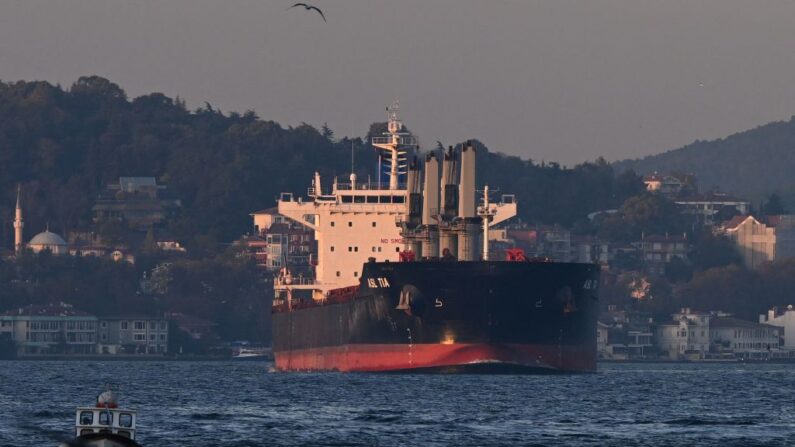 Photo d'illustration - L'Asl Tia, un cargo transportant des céréales ukrainiennes, navigue sur le Bosphore vers la mer de Marmara, à Istanbul, le 2 novembre 2022. (Photo: OZAN KOSE/AFP via Getty Images)