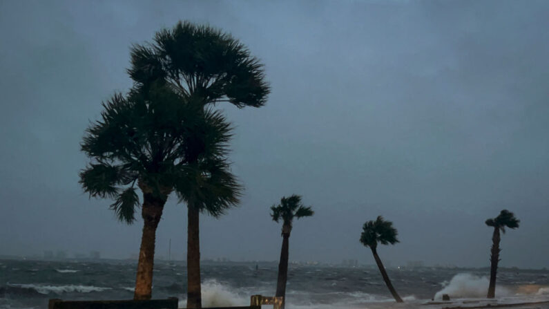 Des palmiers sont battus par les vagues et les vents à Jensen Beach, en Floride, le 9 novembre 2022. (Photo: EVA MARIE UZCATEGUI/AFP via Getty Images)