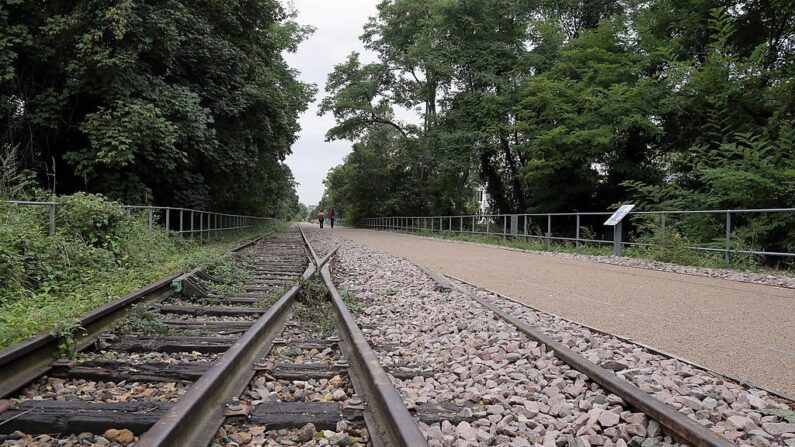 Vue de la Petite Ceinture dans le 15e arrondissement de Paris. (Crédit photo JACQUES DEMARTHON/AFP via Getty Images)