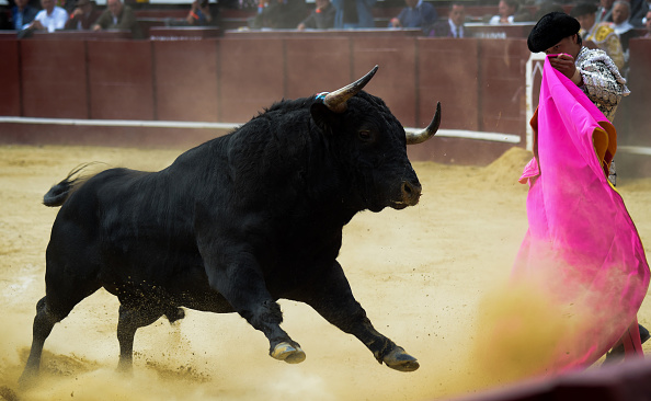  (Photo : RAUL ARBOLEDA/AFP via Getty Images)