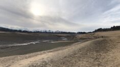 Après la sécheresse, un curieux édifice refait surface dans un lac de Haute-Garonne