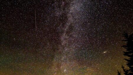 La pluie d’étoiles filantes des Léonides cuminera les 17 et 18 novembre: tout ce qu’il faut savoir