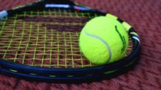 Un père frappe et jette à terre sa fille sur un court de tennis en Serbie