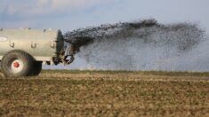 Des agriculteurs empêchent l’installation d’une free party grâce à du lisier en Loire-Atlantique