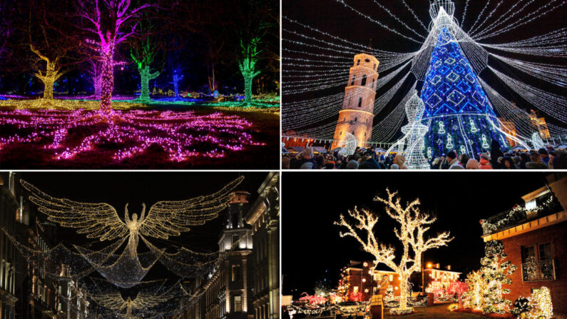 En haut – à g. autorisation de VanDusen Bonatical Garden, à dt. PETRAS MALUKAS/AFP via Getty Images. En bas – à g. Dan Kitwood/Getty Images, à dt. Michael Heiman/Getty Images