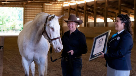 Un cheval aveugle obtient trois records mondiaux Guinness grâce au soutien indéfectible de sa maîtresse