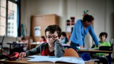 «Un point de non-retour»: le niveau en français des futurs professeurs des écoles inquiète