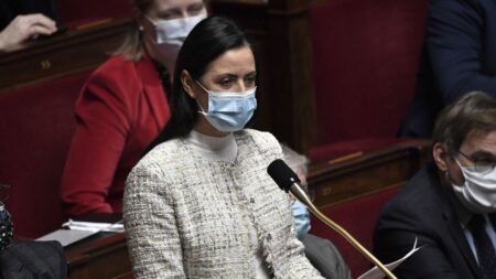 Aube: une députée menacée avec un pistolet à air comprimé pendant un collage d’affiches