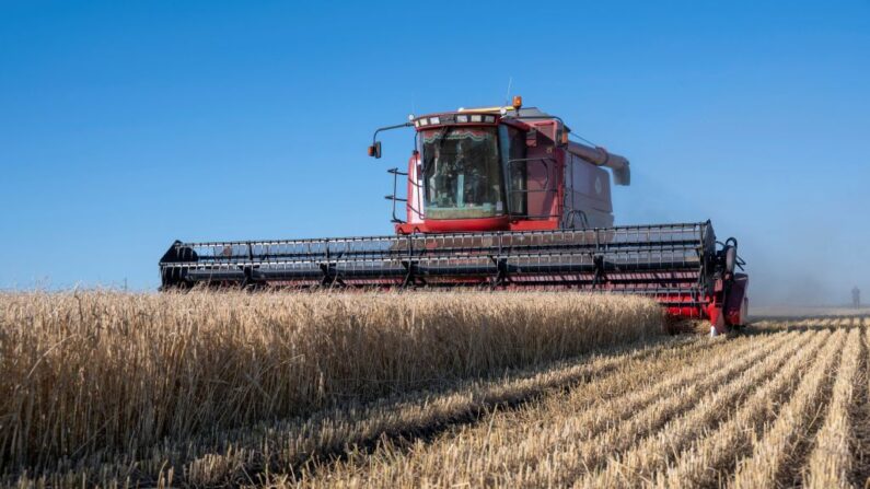 Un agriculteur moissonne de l'orge dans la région ukrainienne de Kharkiv, le 18 juillet 2022. (Photo: SERGEY BOBOK/AFP via Getty Images)