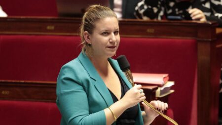 Ministres démissionnaires également députés : Mathilde Panot (LFI) saisit le Conseil constitutionnel