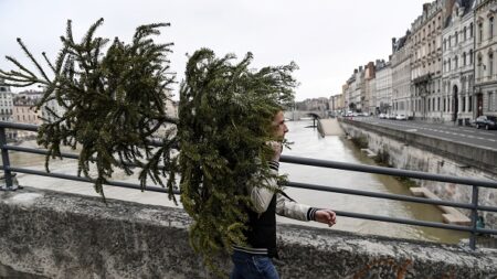 Noël: pour ceux qui abandonneraient leur sapin sur la voie publique, attention à l’amende