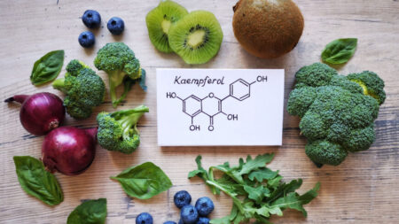 Les flavonols peuvent réduire la perte de mémoire liée à l’âge selon une étude