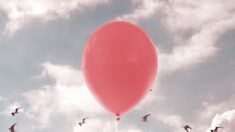 «Tu es aimée»: lors d’une balade, une fillette du Pas-de-Calais trouve un ballon accompagné d’un message en anglais